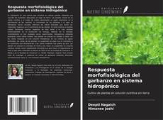 Bookcover of Respuesta morfofisiológica del garbanzo en sistema hidropónico