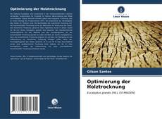Optimierung der Holztrocknung kitap kapağı