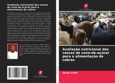 Buchcover von Avaliação nutricional das cascas de cana-de-açúcar para a alimentação de cabras