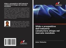 Sfide e prospettive dell'industria calzaturiera etiope nel mercato mondiale的封面