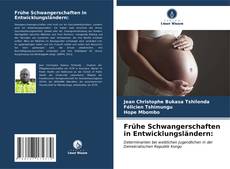 Copertina di Frühe Schwangerschaften in Entwicklungsländern: