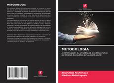 Buchcover von METODOLOGIA