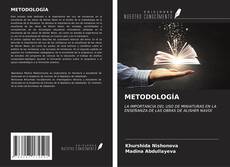METODOLOGÍA kitap kapağı