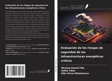 Bookcover of Evaluación de los riesgos de seguridad de las infraestructuras energéticas críticas