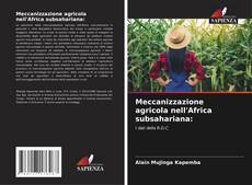 Meccanizzazione agricola nell'Africa subsahariana: kitap kapağı