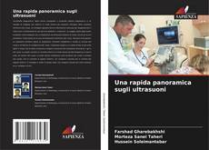 Bookcover of Una rapida panoramica sugli ultrasuoni