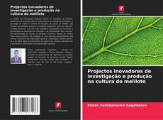 Buchcover von Projectos inovadores de investigação e produção na cultura do meliloto