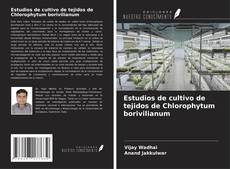 Buchcover von Estudios de cultivo de tejidos de Chlorophytum borivilianum