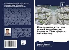 Buchcover von Исследования культуры тканей Хлорофитума Боривиля (Chlorophytum borivilianum)