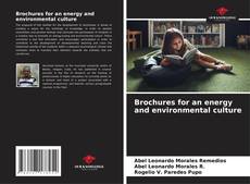 Brochures for an energy and environmental culture kitap kapağı