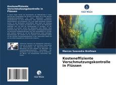 Portada del libro de Kosteneffiziente Verschmutzungskontrolle in Flüssen