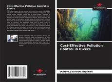Couverture de Cost-Effective Pollution Control in Rivers