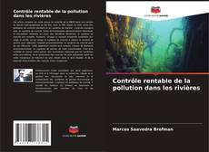 Bookcover of Contrôle rentable de la pollution dans les rivières