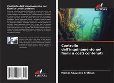 Copertina di Controllo dell'inquinamento nei fiumi a costi contenuti