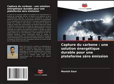 Bookcover of Capture du carbone : une solution énergétique durable pour une plateforme zéro émission