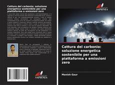 Couverture de Cattura del carbonio: soluzione energetica sostenibile per una piattaforma a emissioni zero