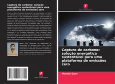 Portada del libro de Captura de carbono: solução energética sustentável para uma plataforma de emissões zero