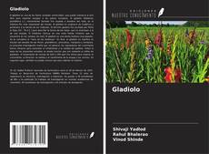 Gladiolo kitap kapağı