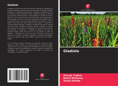 Gladíolo的封面