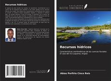 Recursos hídricos kitap kapağı