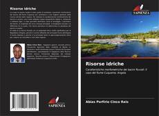 Capa do livro de Risorse idriche 