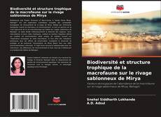 Biodiversité et structure trophique de la macrofaune sur le rivage sablonneux de Mirya kitap kapağı