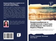 Bookcover of Биоразнообразие и трофическая структура макрофауны песчаного берега Мирьи