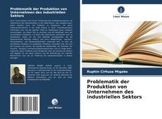 Bookcover of Problematik der Produktion von Unternehmen des industriellen Sektors