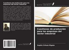 Bookcover of Cuestiones de producción para las empresas del sector industrial