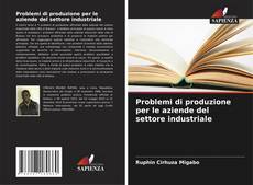 Capa do livro de Problemi di produzione per le aziende del settore industriale 