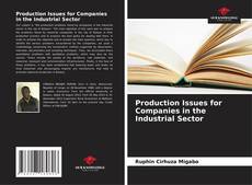 Buchcover von Production Issues for Companies in the Industrial Sector
