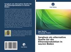 Copertina di Sorghum als alternative Quelle für die Ethanolproduktion in sauren Böden