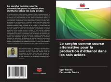 Borítókép a  Le sorgho comme source alternative pour la production d'éthanol dans les sols acides - hoz