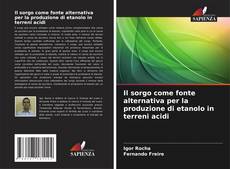 Capa do livro de Il sorgo come fonte alternativa per la produzione di etanolo in terreni acidi 