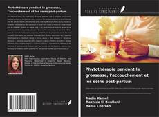 Buchcover von Phytothérapie pendant la grossesse, l'accouchement et les soins post-partum