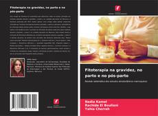 Bookcover of Fitoterapia na gravidez, no parto e no pós-parto