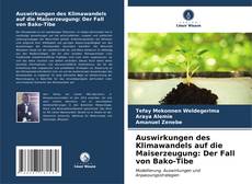 Copertina di Auswirkungen des Klimawandels auf die Maiserzeugung: Der Fall von Bako-Tibe