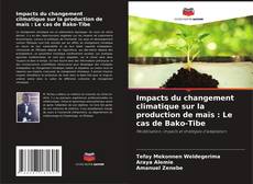 Impacts du changement climatique sur la production de maïs : Le cas de Bako-Tibe kitap kapağı