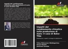 Bookcover of Impatti del cambiamento climatico sulla produzione di mais: Il caso di Bako-Tibe