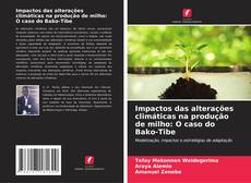 Bookcover of Impactos das alterações climáticas na produção de milho: O caso do Bako-Tibe
