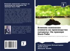 Bookcover of Влияние изменения климата на производство кукурузы: На примере Бако-Тибе