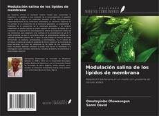 Buchcover von Modulación salina de los lípidos de membrana