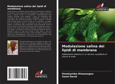 Bookcover of Modulazione salina dei lipidi di membrana