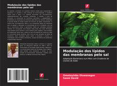 Bookcover of Modulação dos lípidos das membranas pelo sal