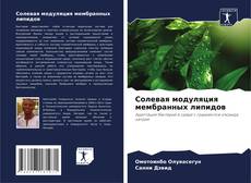 Bookcover of Солевая модуляция мембранных липидов