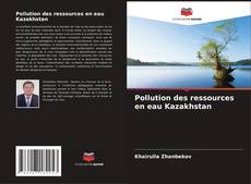 Pollution des ressources en eau Kazakhstan kitap kapağı