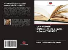 Qualification professionnelle acquise grâce à PRONATEC kitap kapağı