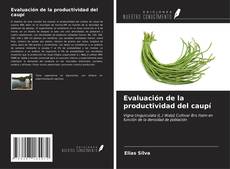 Buchcover von Evaluación de la productividad del caupí