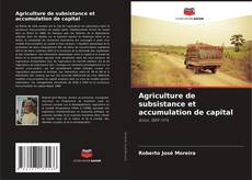 Borítókép a  Agriculture de subsistance et accumulation de capital - hoz