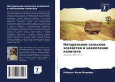 Borítókép a  Натуральное сельское хозяйство и накопление капитала - hoz